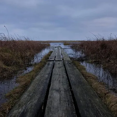 6 Person In Bjert-by Traum *