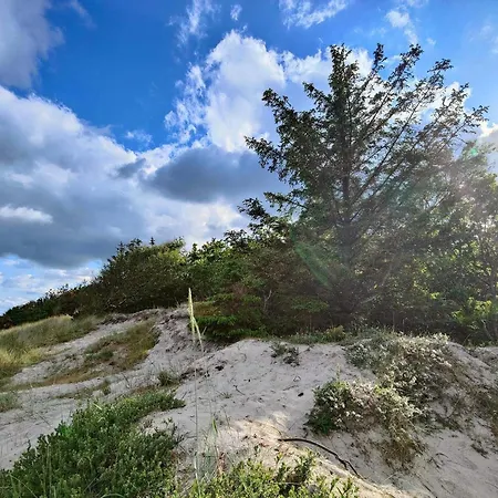 펜션 6 Person In Bjert-by Traum *